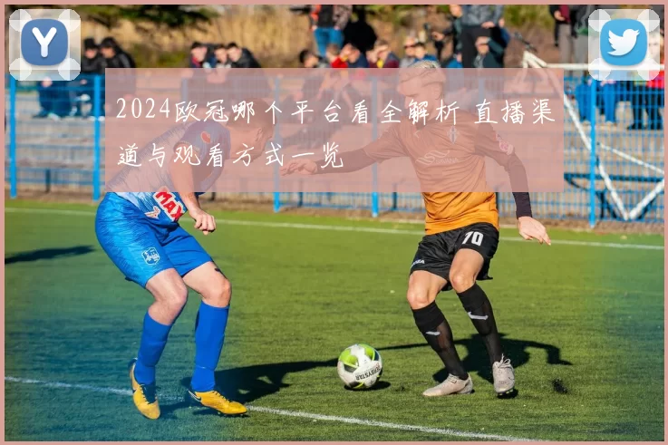 2024欧冠哪个平台看全解析 直播渠道与观看方式一览