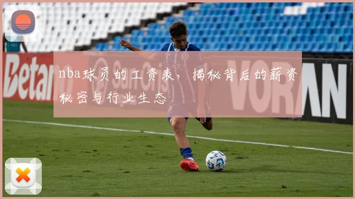 nba球员的工资表，揭秘背后的薪资秘密与行业生态