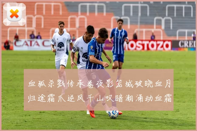 血狐杀戮传承卷夜影笼城破晓血月归途霜爪逆风千山叹暗潮涌动血霜