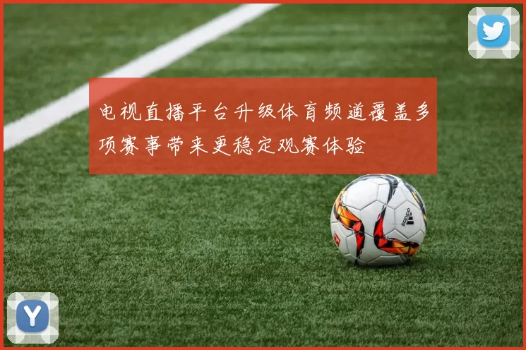 电视直播平台升级体育频道覆盖多项赛事带来更稳定观赛体验
