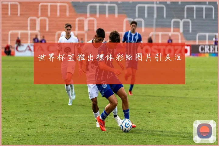 世界杯宝推出裸体彩绘图片引关注