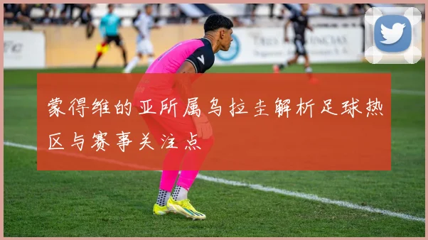 蒙得维的亚所属乌拉圭解析足球热区与赛事关注点